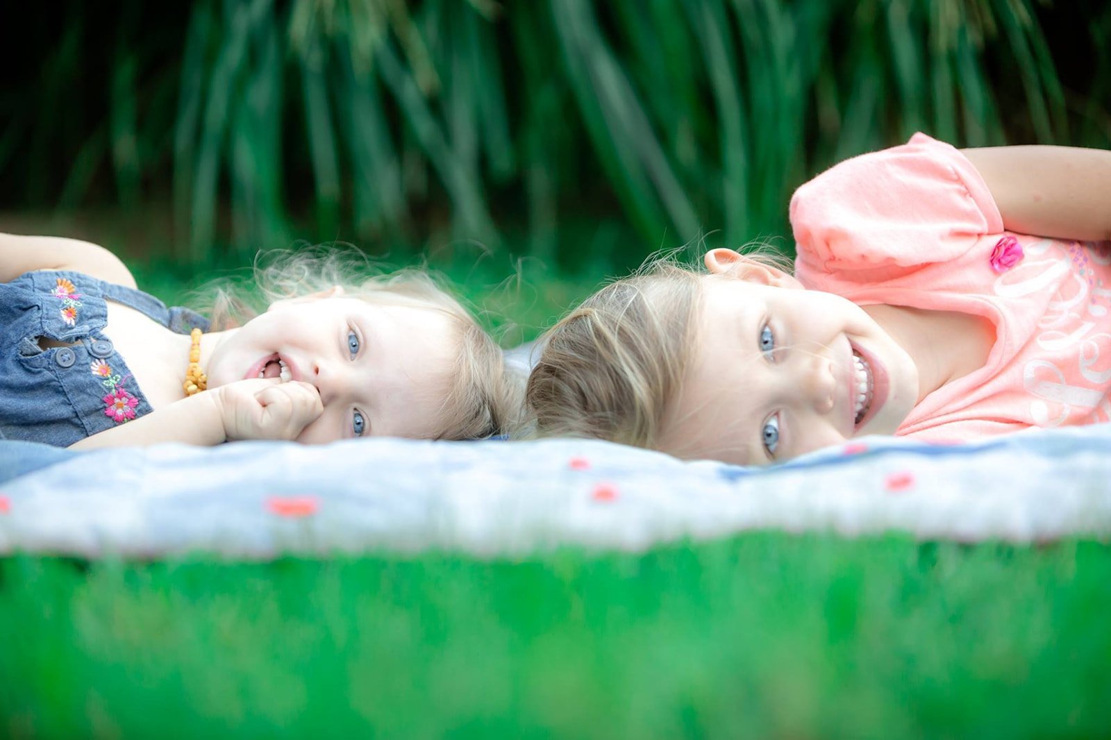 2019-2021 Highlight Reel